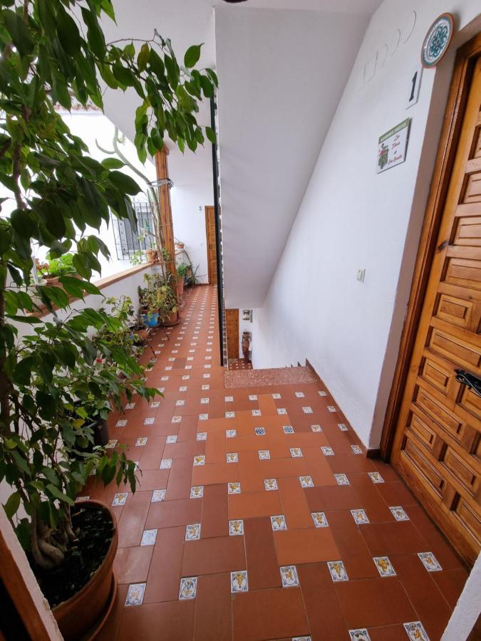 Apartamento Entre Patios San Basilio Apartment กอร์โดบา ภายนอก รูปภาพ