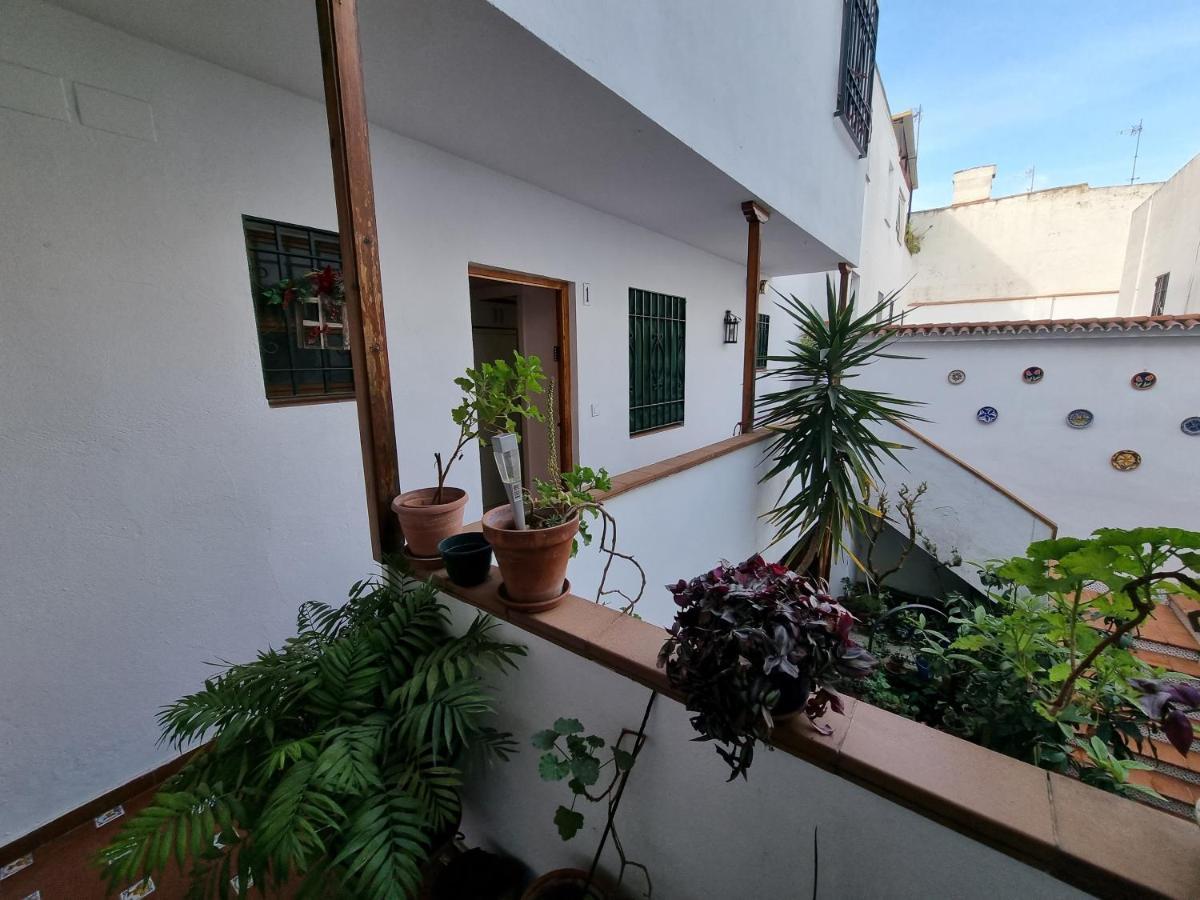 Apartamento Entre Patios San Basilio Apartment กอร์โดบา ภายนอก รูปภาพ